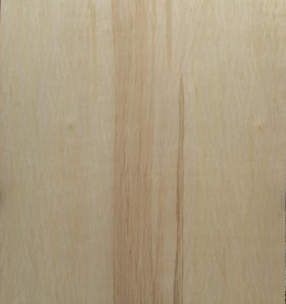 Sperrholz chinesische Pappel / Eucalyptus BB/CC